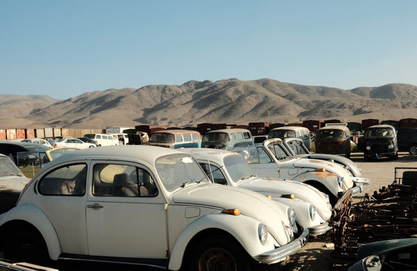 Volkswagen Yucca Valley